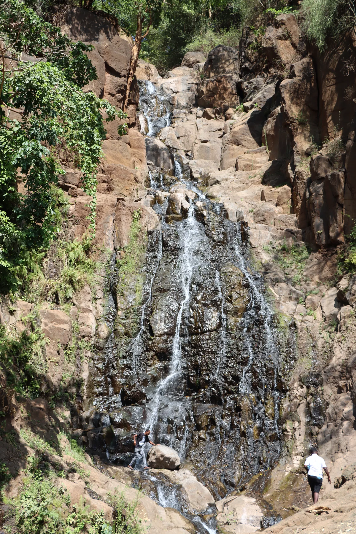 Waterfall trail near Arusha with a local guide