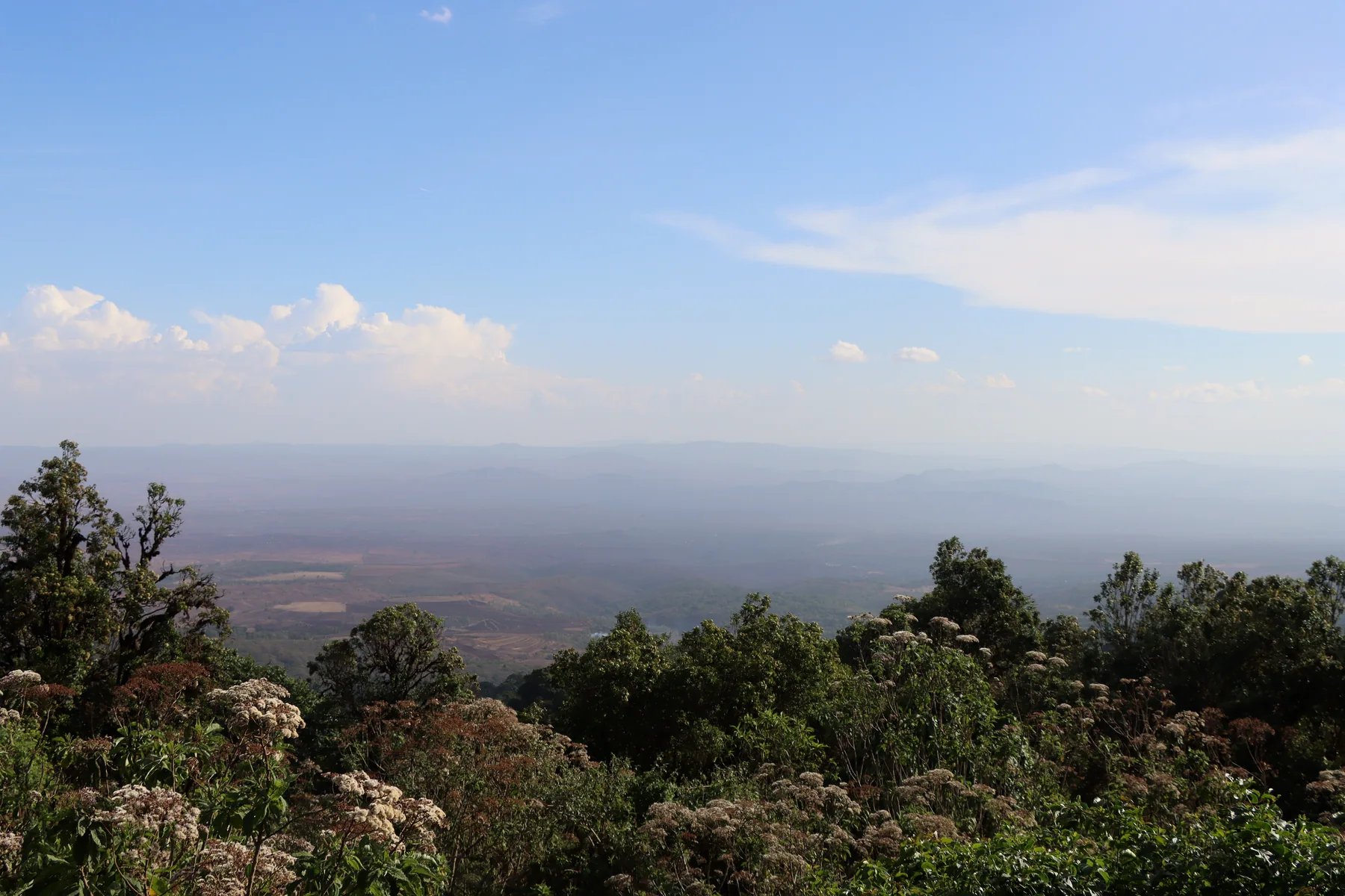 Green highland landscape in Northern Tanzania