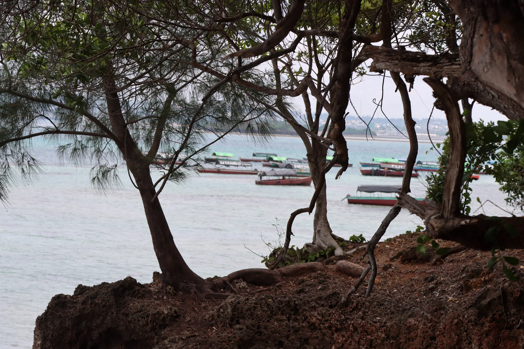 Ocean and traditional boats framed by tropical trees