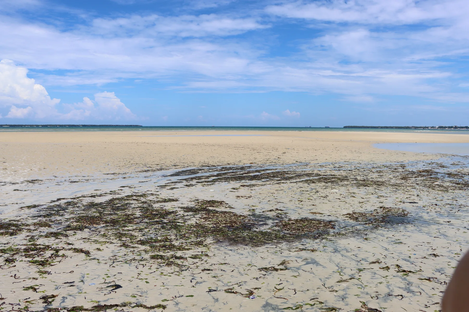 Zanzibar shoreline at low tide